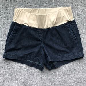 Ann Taylor LOFT maternity shorts